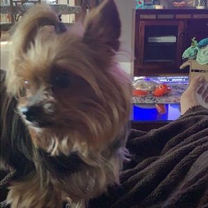 Meet your Posher, Daniel